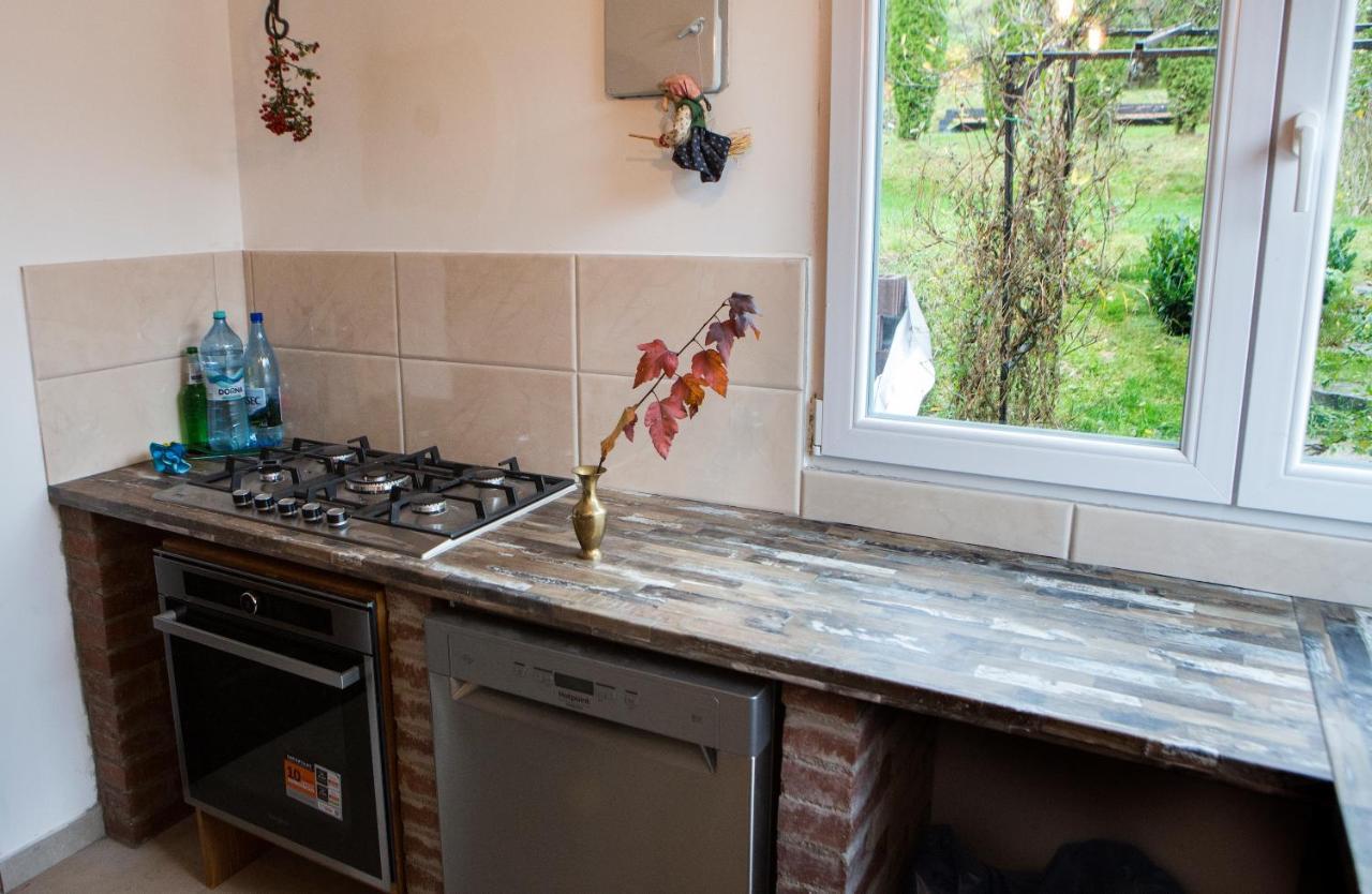 ホテル Casa Cu Magnolii ポイエニレ・イゼイ エクステリア 写真
