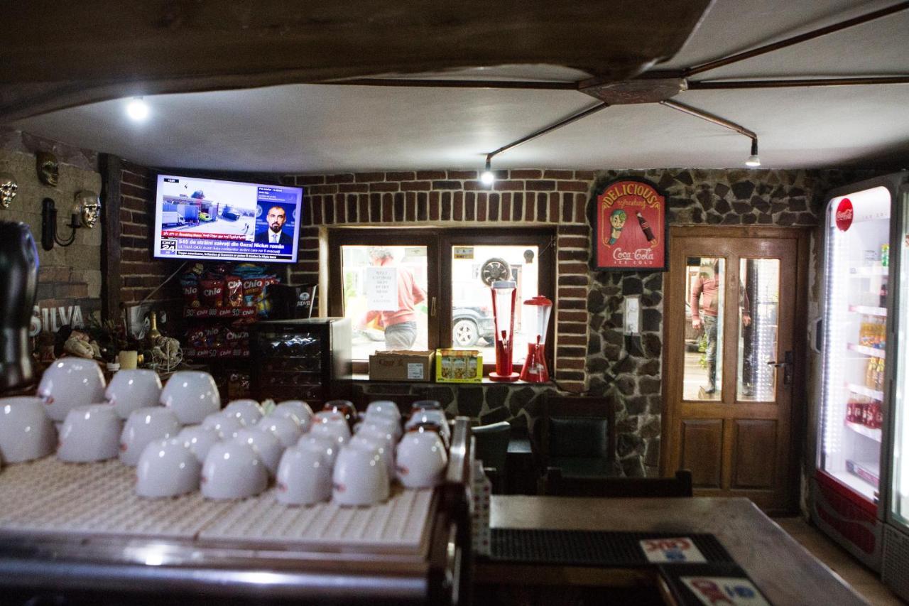 ホテル Casa Cu Magnolii ポイエニレ・イゼイ エクステリア 写真