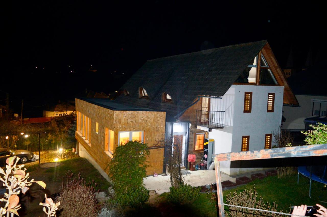 ホテル Casa Cu Magnolii ポイエニレ・イゼイ エクステリア 写真