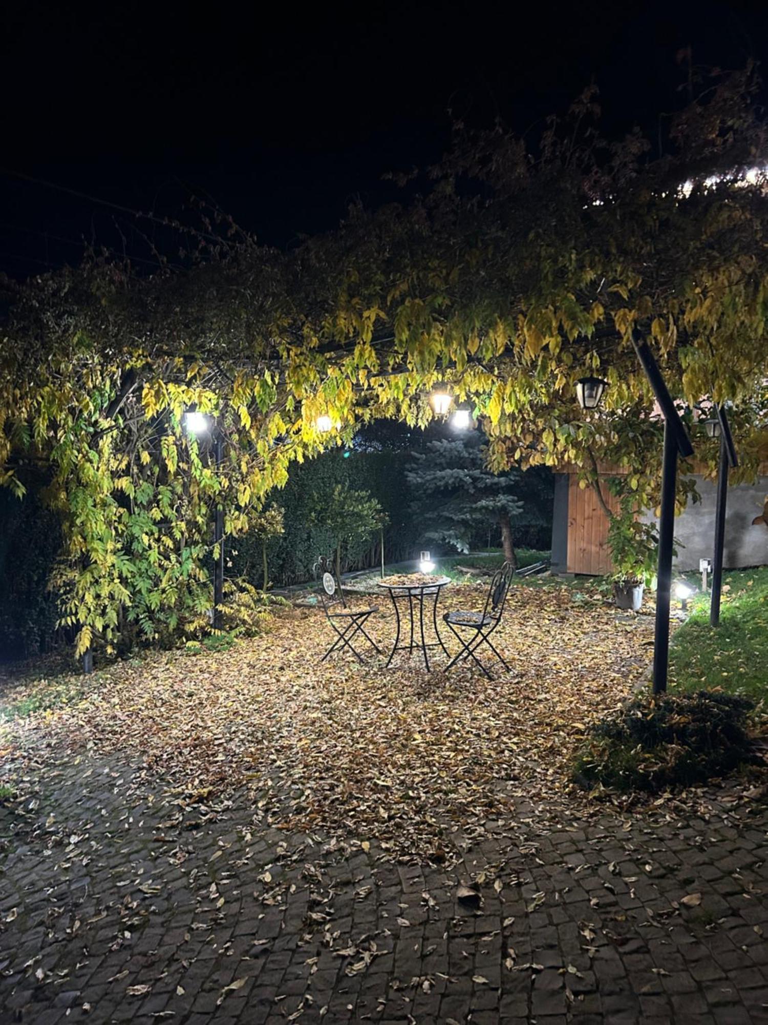 ホテル Casa Cu Magnolii ポイエニレ・イゼイ エクステリア 写真