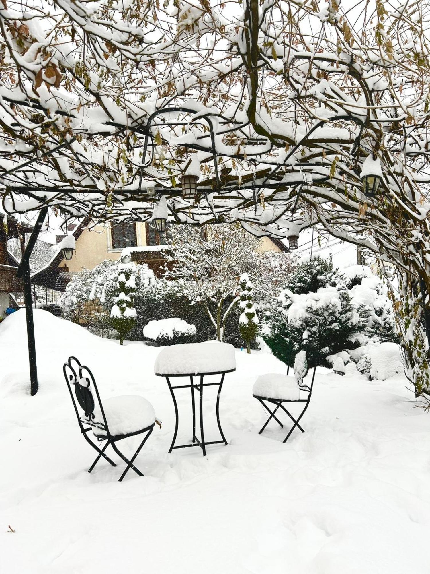 ホテル Casa Cu Magnolii ポイエニレ・イゼイ エクステリア 写真